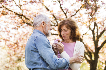 Beautiful senior couple in love outside in spring nature.の写真素材