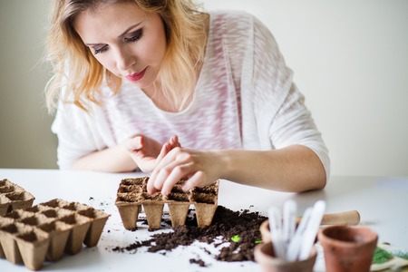 Young woman planting seeds at home.の写真素材