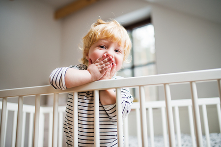 Cute toddler boy standing in a cot at home.の写真素材