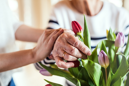 Hands of an old and young woman putting flowers in a vase.の写真素材