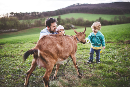 A father and his toddler children with a goat outside in spring nature.の写真素材
