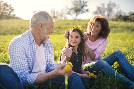 Senior couple with granddaughter outside in spring nature, making dandelion wreath.