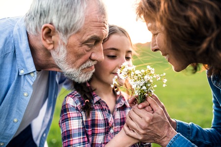 A small girl with her senior grandparents smelling flowers outside in nature.の写真素材