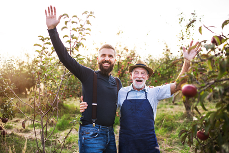 A senior man and adult son standing arm in arm in apple orchard in autumn.の写真素材