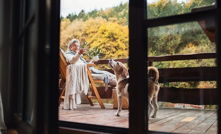 An elderly woman with a dog sitting outdoors on a terrace on a sunny day in autumn.の写真素材