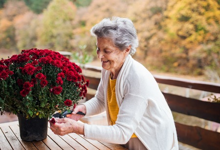 An elderly woman outdoors on a terrace on a sunny day in autumn.の写真素材