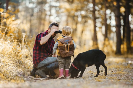 A mature father with a dog and a toddler son in an autumn forest, using binoculars.の写真素材