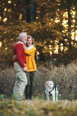 A senior couple with a dog standing in an autumn nature, hugging.の写真素材