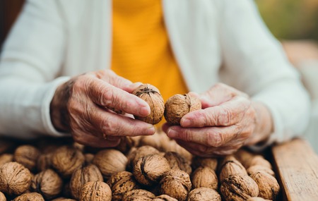 An elderly woman outdoors on a terrace on a sunny day in autumn, holding walnuts.の写真素材