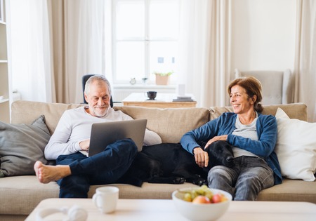 A happy senior couple sitting on a sofa indoors with a pet dog at home, using laptop.の写真素材
