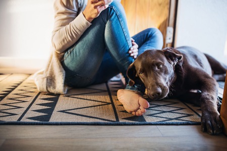 A midsection of young woman with a dog sitting indoors on the floor at home.の写真素材