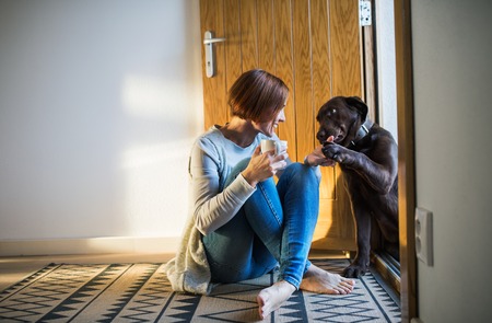 A young woman sitting indoors by the door on the floor at home, playing with a dog.の写真素材