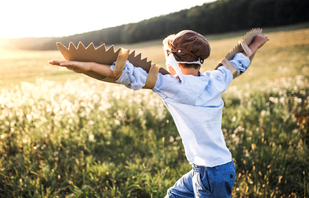 A small boy playing on a meadow in nature, with goggles and wings as if flying.の写真素材