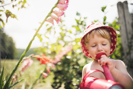 Small boy with a hat standing outdoors in garden in summer. Copy space.の写真素材