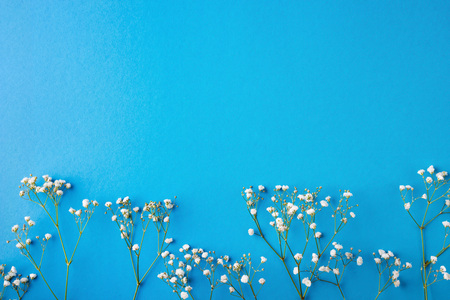 Flowers on a blue background. Copy space.