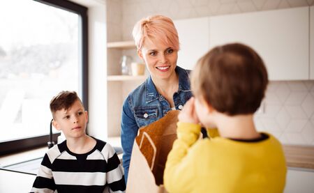 A young woman with two children unpacking shopping in a kitchen.の写真素材