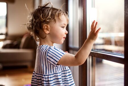 A toddler girl standing by window indoors at home, looking out.の写真素材