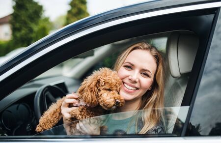 Young woman driver with a dog sitting in car, looking out of window.