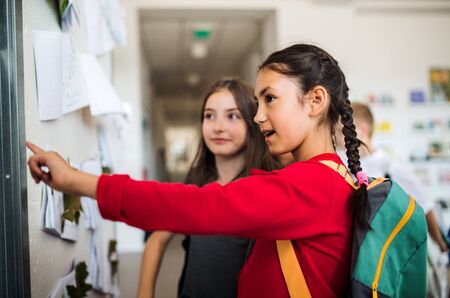 Two cheerful small school girl friends with bags standing and looking at notice board.の写真素材