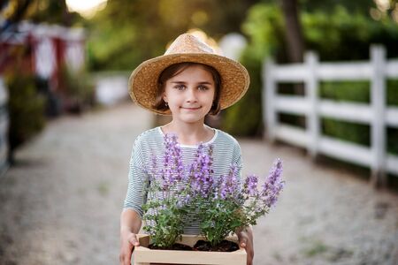 A front view of small girl standing outdoors on family farm, holding plants.の写真素材