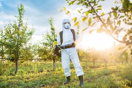 A farmer outdoors in orchard at sunset, using pesticide chemicals.