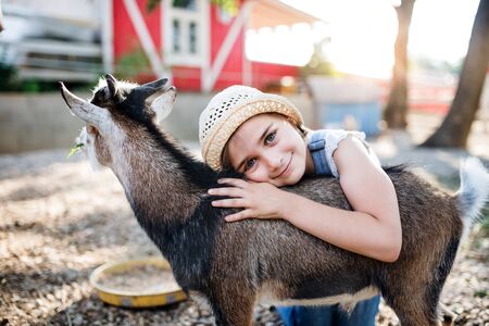 A portrait of small girl outdoors on family animal farm, hugging goat.の写真素材
