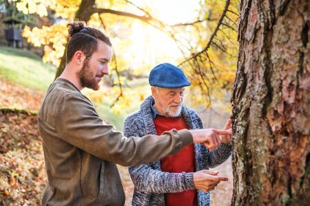 Senior father and his son walking in nature, talking.の写真素材