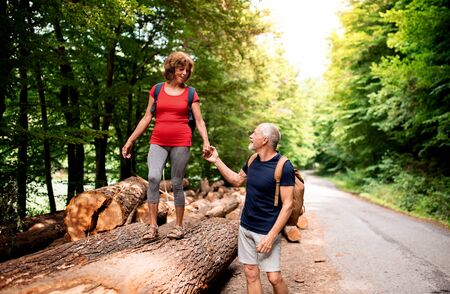 Senior tourist couple with backpacks walking in forest in nature.の写真素材