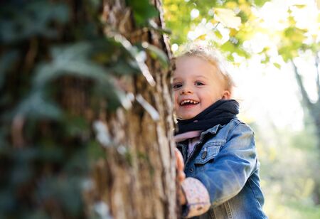 A portrait of a small toddler girl standing in autumn forest. Copy space.の写真素材