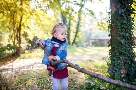 Front view portrait of a small toddler girl standing in autumn forest.の写真素材