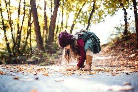 A small toddler girl playing in forest in autumn nature, playing.の写真素材