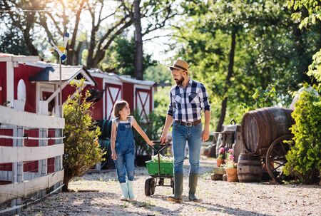 A father with small daughter walking outdoors on family farm.の写真素材