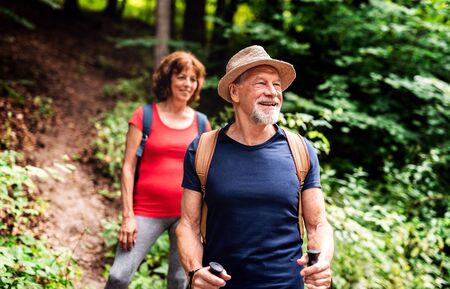 Senior tourist couple with backpacks on a walk in forest in nature.