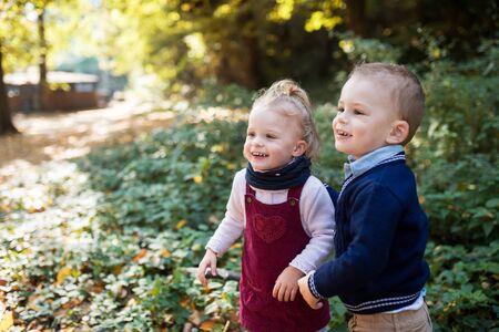 Twin toddler sibling boy and girl standing in autumn forest. Copy space.の写真素材