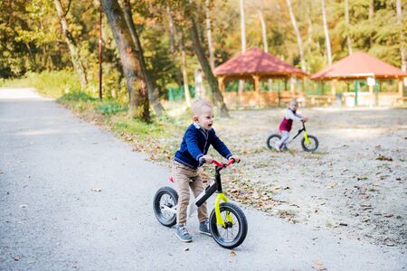Twin toddler sibling boy and girl in autumn park, riding balance bike.の写真素材