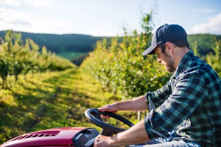 A mature farmer driving mini tractor outdoors in orchard.の写真素材
