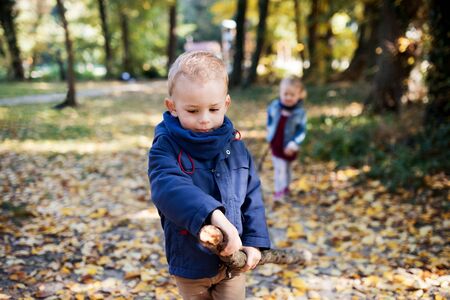 Twin toddler sibling boy and girl walking in autumn forest.の写真素材