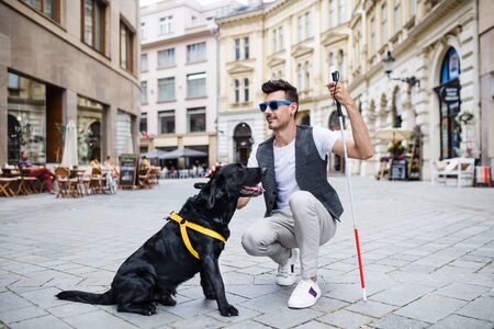 Young blind man with white cane and guide dog on pedestrain zone in city.の写真素材