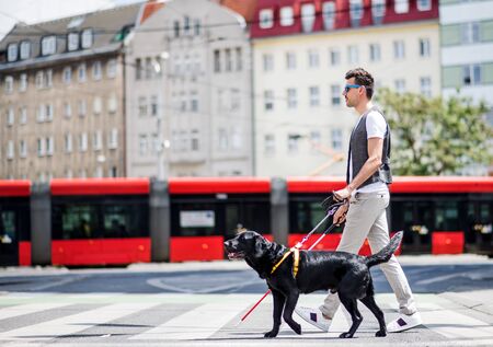 Young blind man with white cane and guide dog walking across street in city.の写真素材