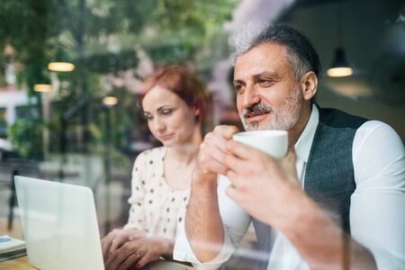 Man and woman having business meeting in a cafe, using laptop.