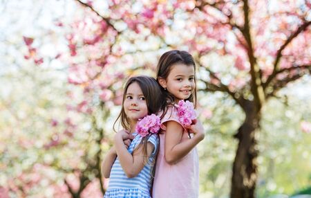 Two small girls standing outside in spring nature, looking at camera.の写真素材