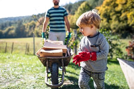 Unrecognizable father and toddler boy outdoors in summer, carrying firewood in wheelbarrow.の写真素材