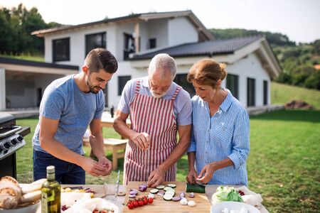 Portrait of multigeneration family outdoors on garden barbecue, grilling.の写真素材