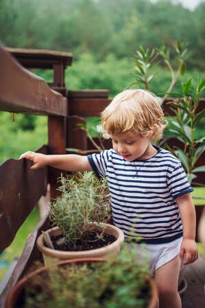 A toddler boy standing outdoors on a terrace in summer.の写真素材