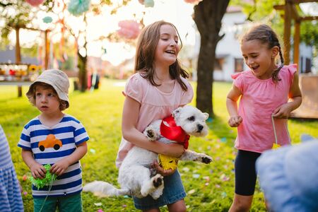 Small children with dog standing outdoors in garden in summer, playing.の写真素材