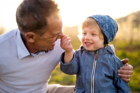 Senior grandfather with toddler grandson standing in nature in spring.の写真素材