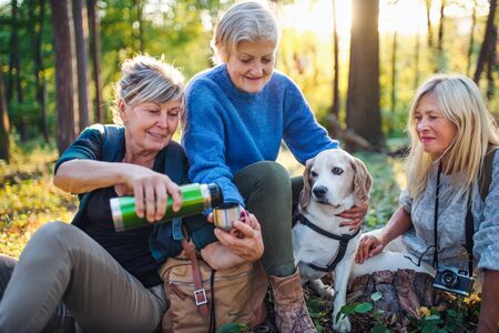 Senior women friends with dog on walk outdoors in forest.