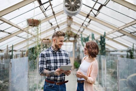 Man and woman researchers standing in greenhouse, using tablet.の写真素材