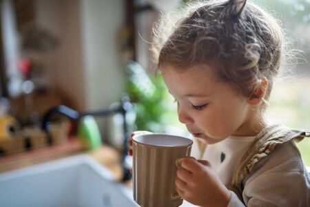 Cute small toddler girl sitting on kitchen counter indoors at home, drinking tea.の写真素材