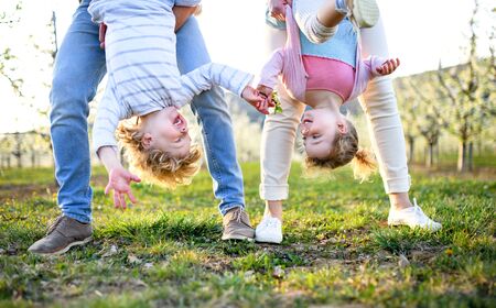 Family outdoors in orchard in spring, holding children upside down.の写真素材